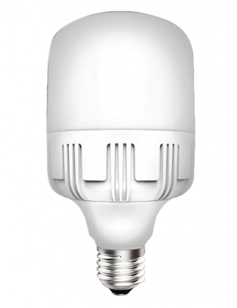 FOCO LED  20W 6500K 100-240V